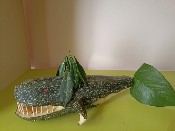 �����������